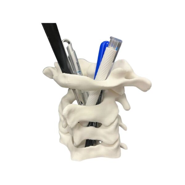 photo_1_2026-01-20_21-29-21 Porte-Stylo Anatomique : Vertèbres Cervicales (Organisateur de Bureau)