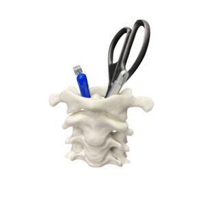 Porte-Stylo Anatomique : Vertèbres Cervicales (Organisateur de Bureau)